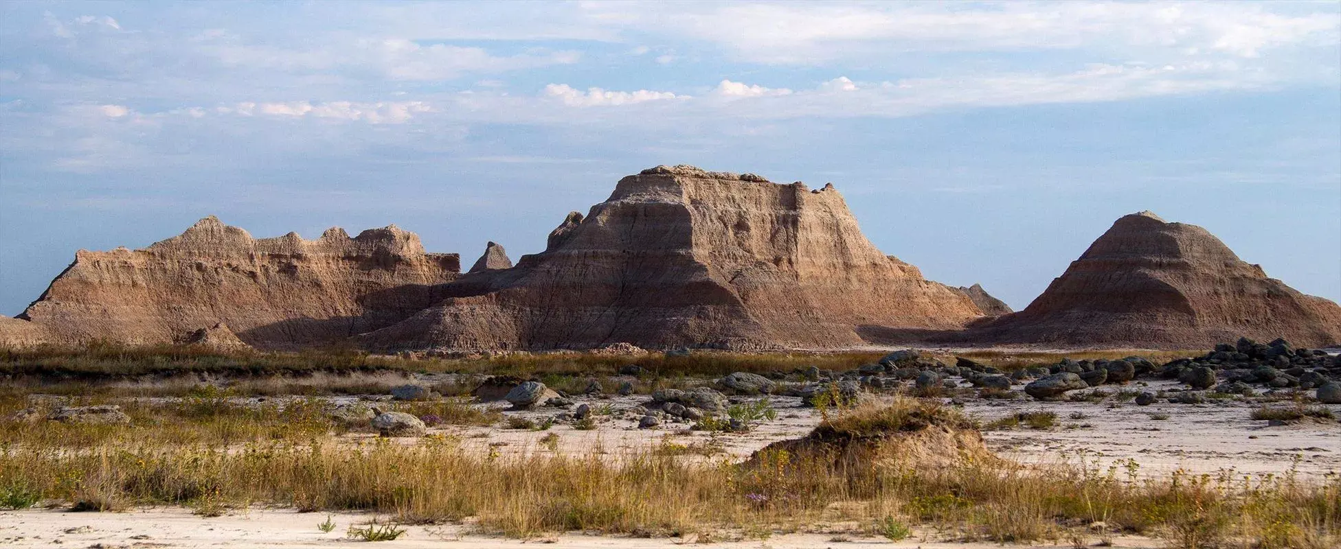 avis car rental butte mt