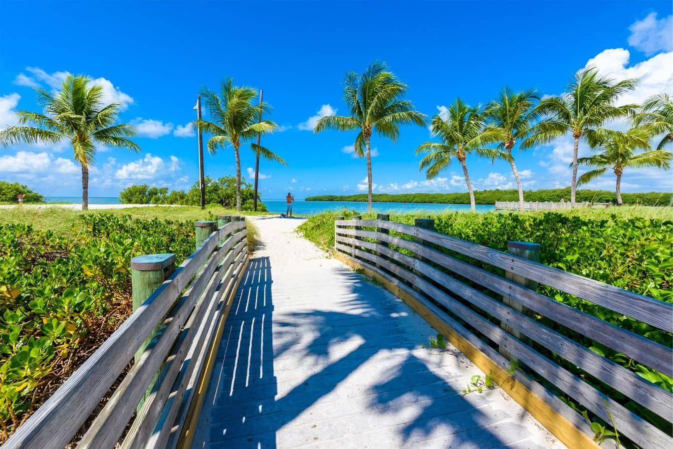 avis car rental reviews fort lauderdale fl airport