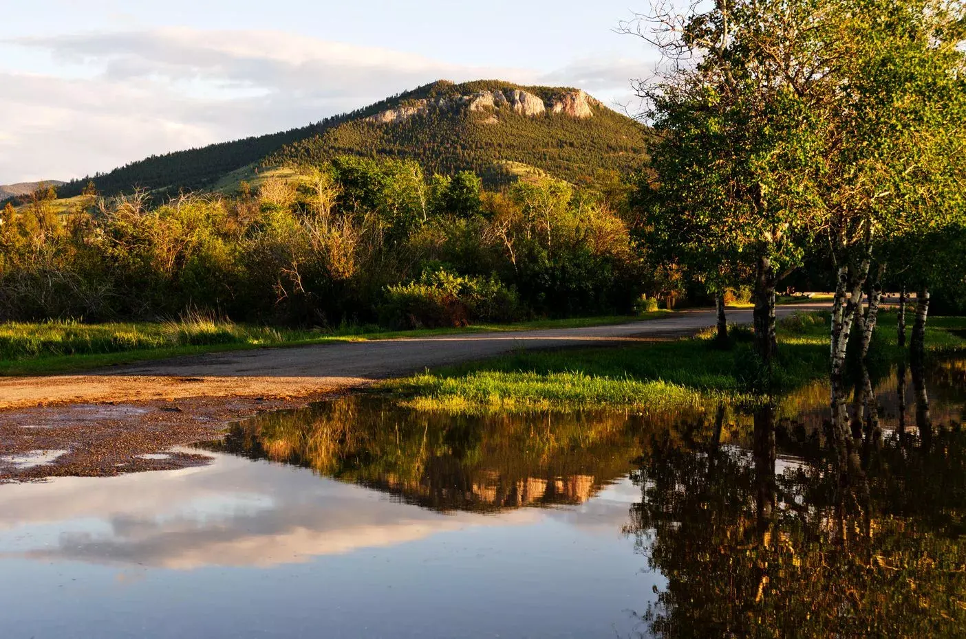 avis car rental helena mt
