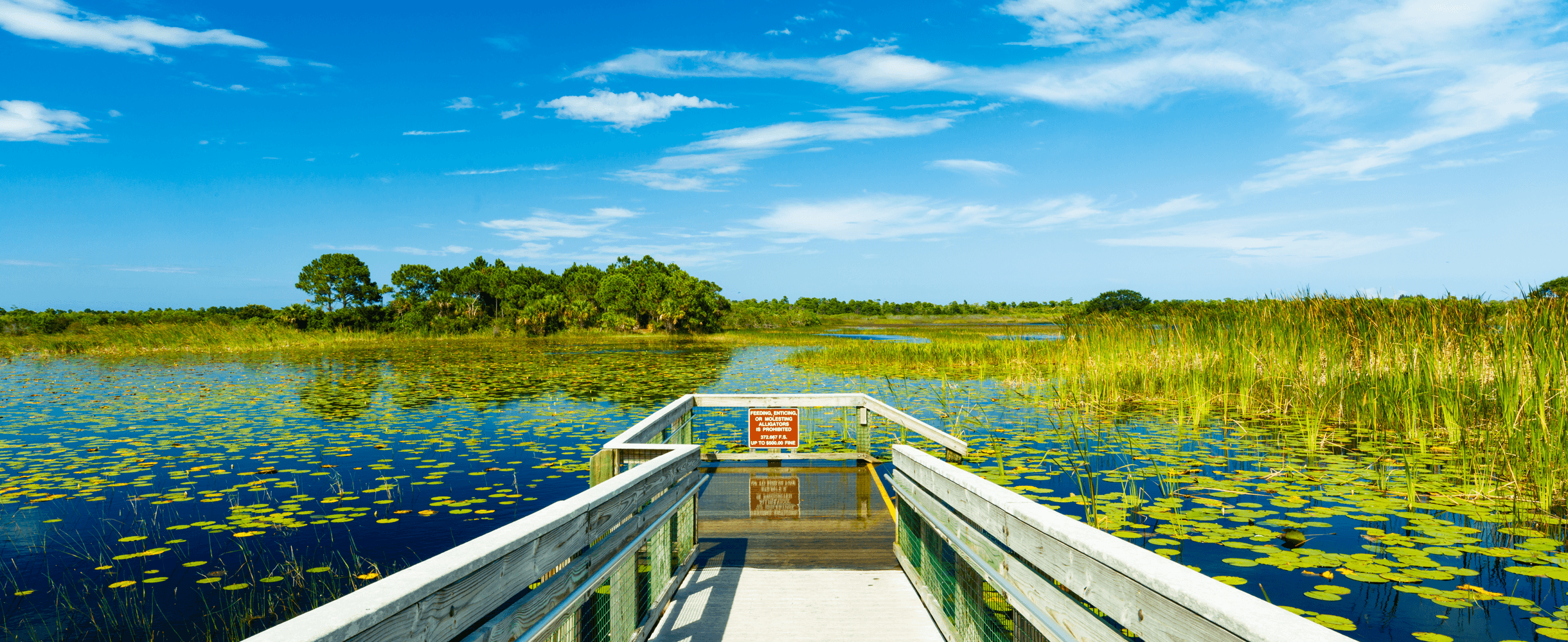 Content Module Image